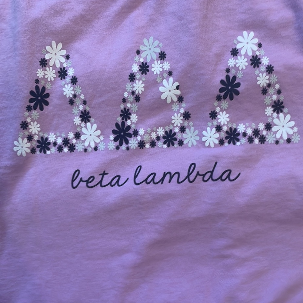 Tri Delta sorority T-shirt Purple M